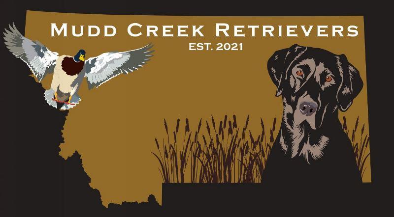 Mudd Creek Retrievers