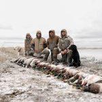Montana Waterfowl Hunting - Gun dog Training