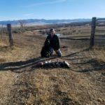 Montana Upland Hunting - Gun dog Training