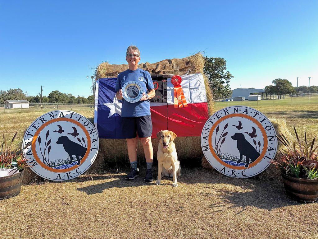Yellow lab - AKC Master Hunter