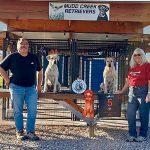 Yellow lab - AKC Master Hunter